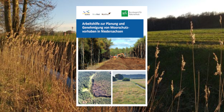 Cover Arbeitshilfe zur Planung und Genehmigung von Moorschutzvorhaben in Niedersachsen