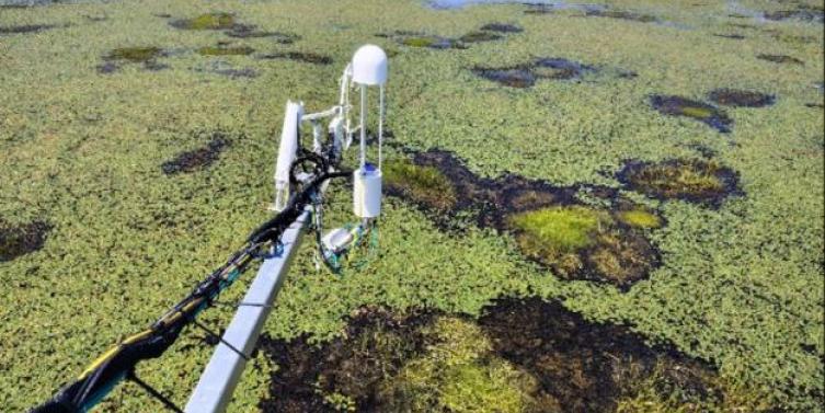 Große Wasserfläche mit Wasserpflanzen und technischem Gerät im Vordergrund