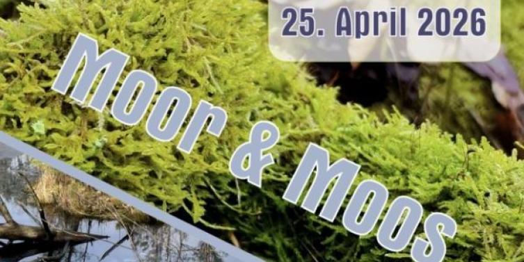 Marxdorfer Moor und Buckow, Waldsieversdorfer Niederungslandschaft