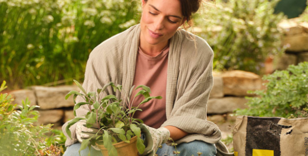 Eine Frau ist dabei im Garten Salbei einzupflanzen