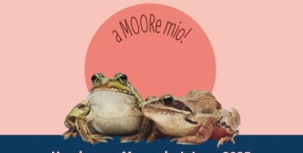 Zwei Frösche mit dem Schriftzug " a MOORe mio!" im Hintergrund 