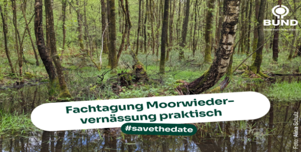 Moor