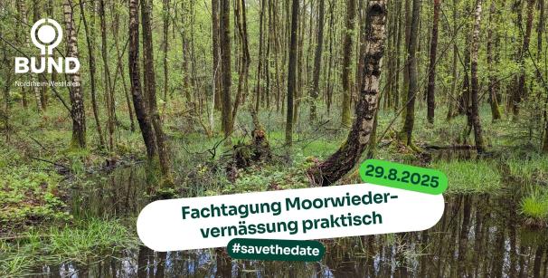 Das Bild zeigt eine Einladung zur Fachtagung 'Moorwiedervernässung praktisch' am 29. August 2025, organisiert vom BUND Nordrhein-Westfalen. Im Hintergrund ist ein feuchtes, grünes Moor mit Bäumen zu sehen. Die Textüberlagerung enthält den Titel der Veranstaltung, das Datum und den Hashtag '#savethedate'. Das BUND-Logo ist oben links in der Ecke zu sehen.