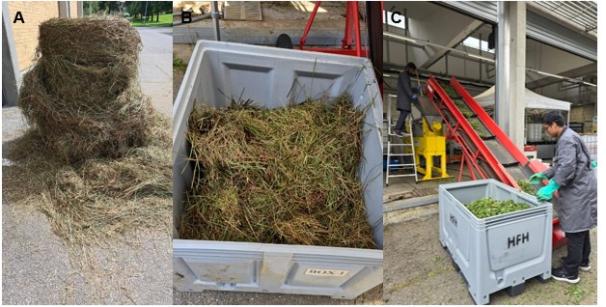 Box mit Grasschnitt
