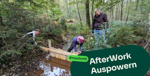 Freiwillige arbeiten im Moor