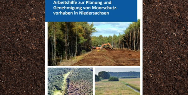 Deckblatt Arbeitshilfe Broschüre