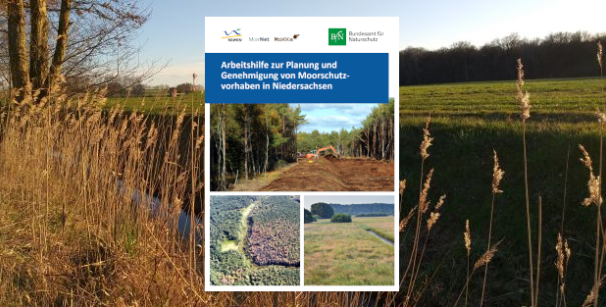 Cover Arbeitshilfe zur Planung und Genehmigung von Moorschutzvorhaben in Niedersachsen