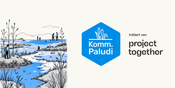 Komm.Paludi