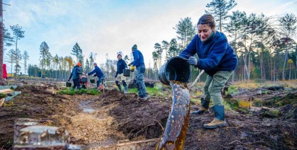 Berwaldprojekt: zwei Freiwillige schlagen mit der Rammkatze eine Spundwand ein.