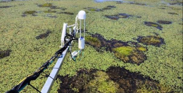 Große Wasserfläche mit Wasserpflanzen und technischem Gerät im Vordergrund