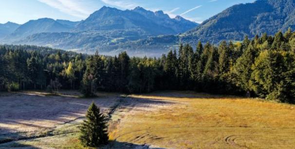 abgemähte Lichtung in einem Moor, umgeben von Wald, im Hintergrund hohe Berge