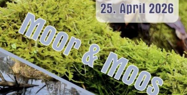 Marxdorfer Moor und Buckow, Waldsieversdorfer Niederungslandschaft