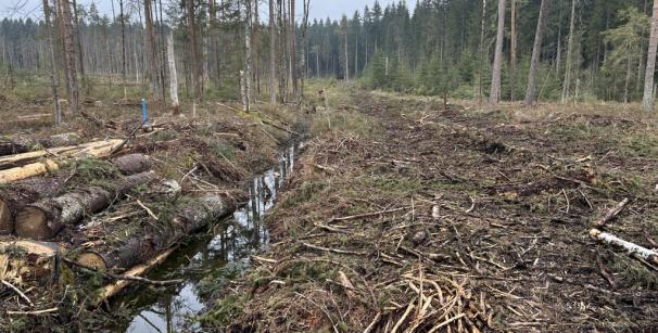 Ein halb mit Wasser gefüllter Entwässerungsgraben im Moor am Roten Fluss.