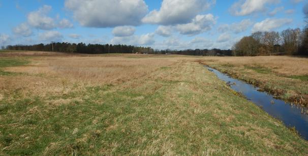 Densow-Niederung/Uckermark